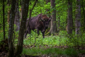 Podlasie na czasie 